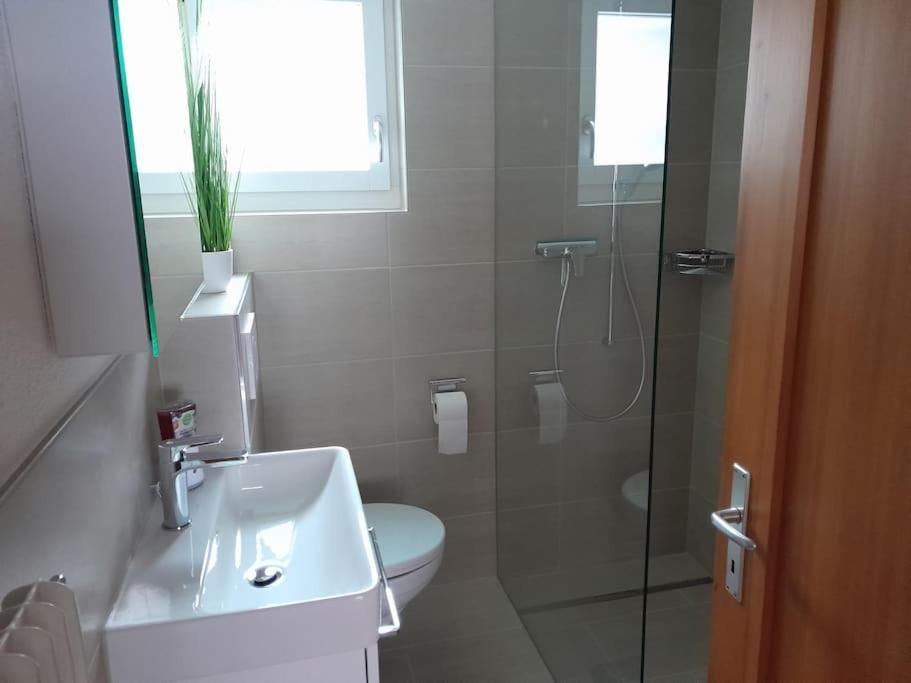 מירינגן 2 1/2 Zimmer Ferienwohnung מראה חיצוני תמונה